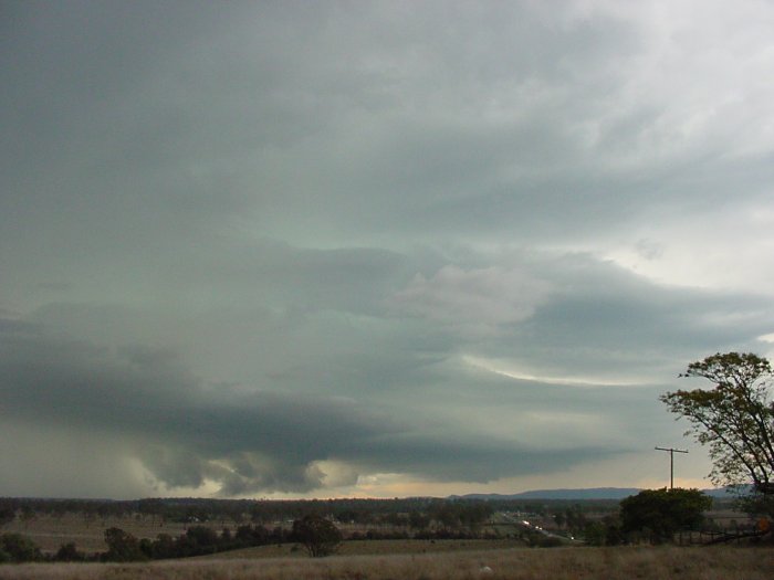 Photo  Jason Rainforest