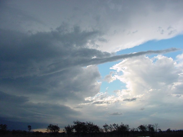 Photo  Jason Rainforest