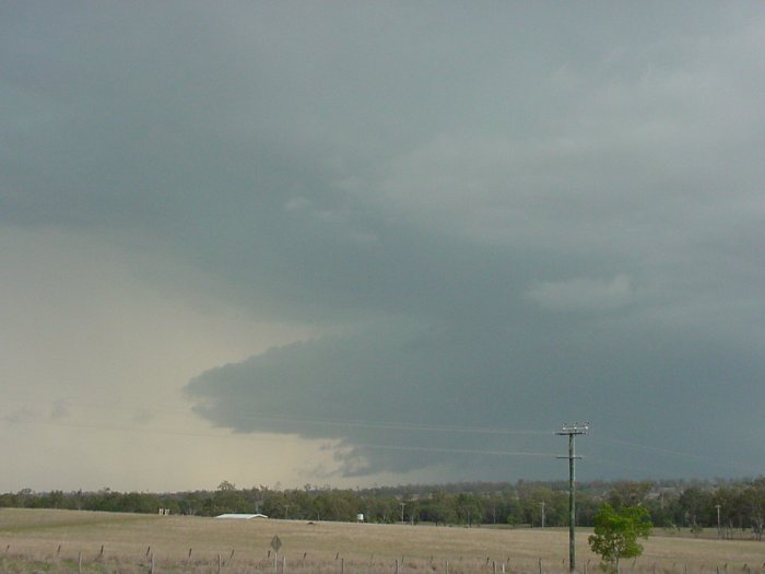 Taken by Jason Rainforest