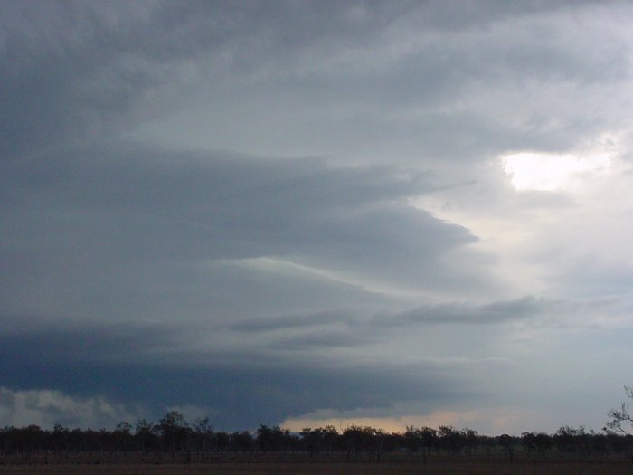 Taken by Jason Rainforest