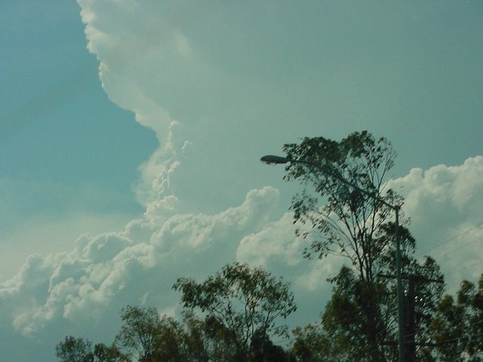 Photo  Jason Rainforest