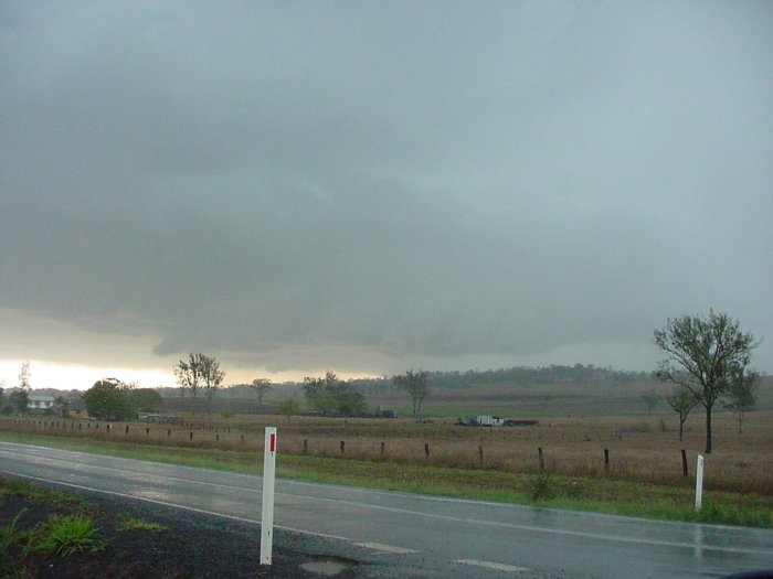 Photo  Jason Rainforest