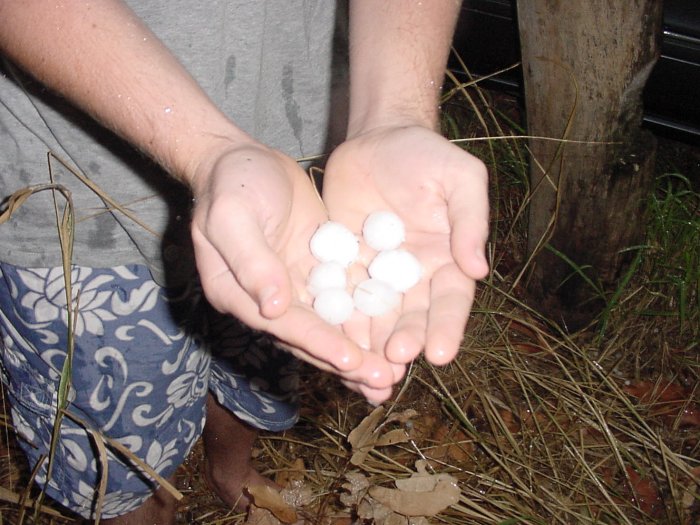 Photo  Jason Rainforest