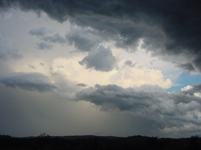 Photo  Jason Rainforest