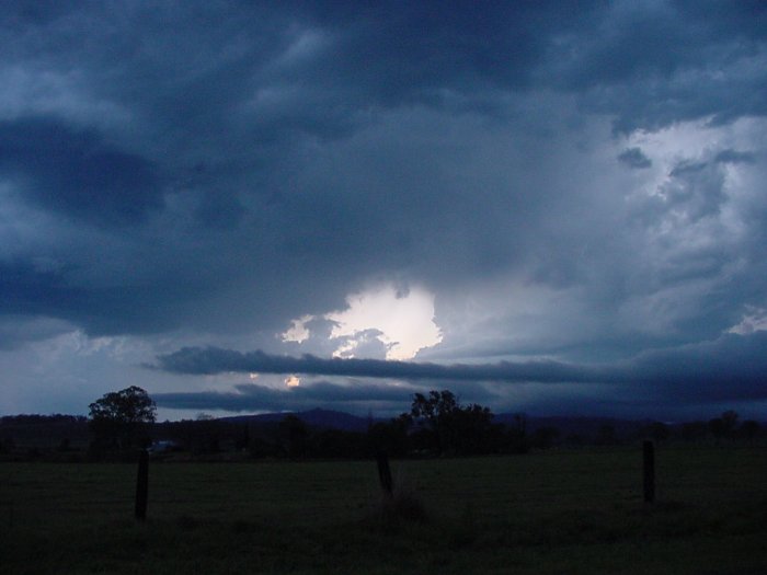 Photo  Jason Rainforest