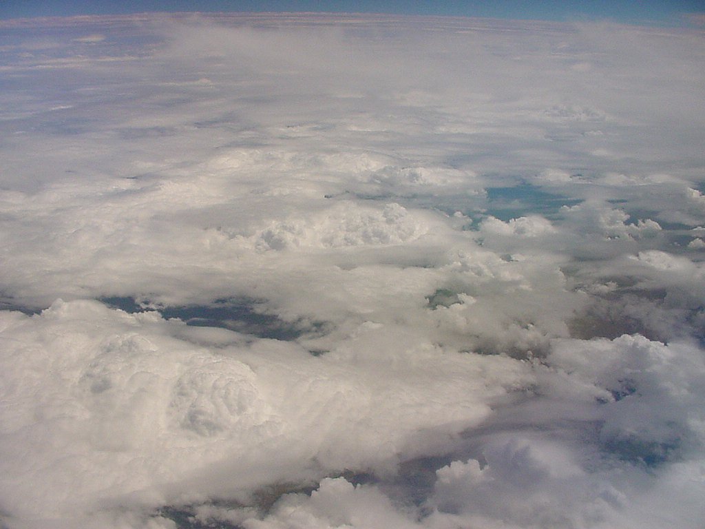 Taken by Jason Rainforest