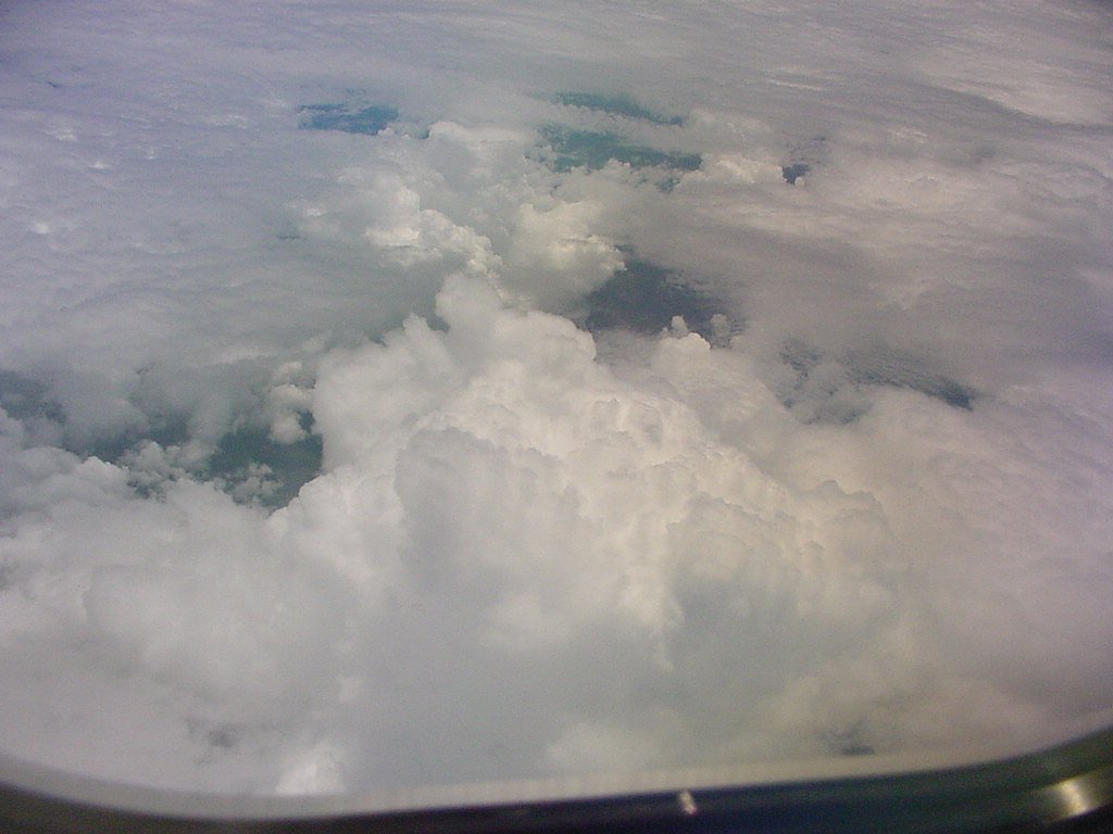 Taken by Jason Rainforest