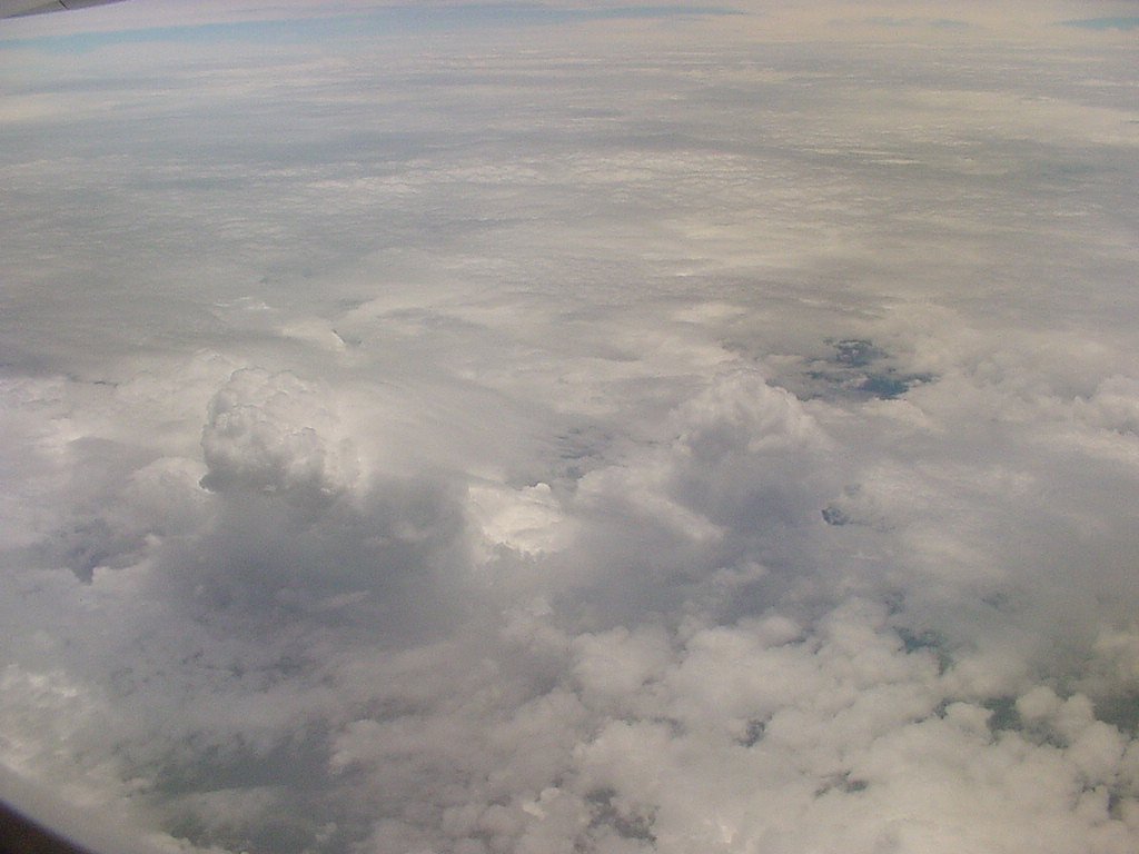 Taken by Jason Rainforest