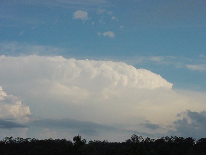 Photo  Jason Rainforest