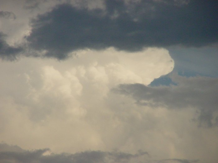 Photo  Jason Rainforest