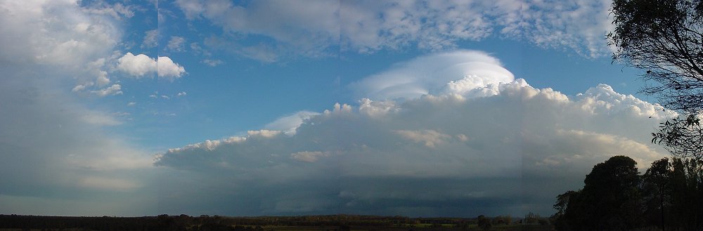 Taken by Jason Rainforest