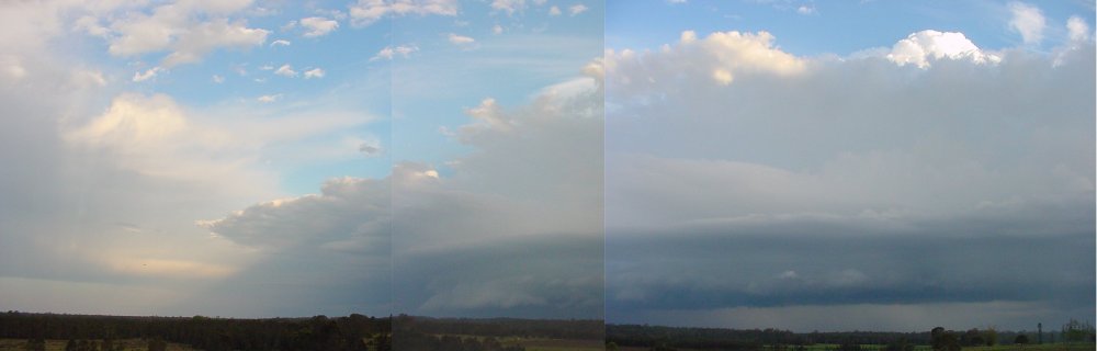 Taken by Jason Rainforest