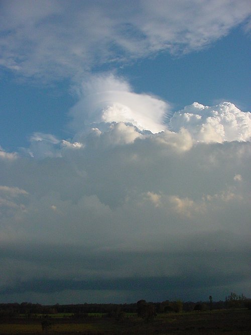 Taken by Jason Rainforest