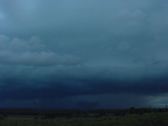 Taken by Jason Rainforest