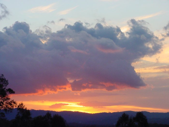 Taken by Jason Rainforest