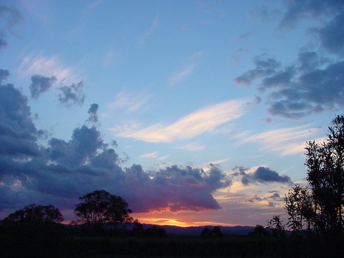 Taken by Jason Rainforest