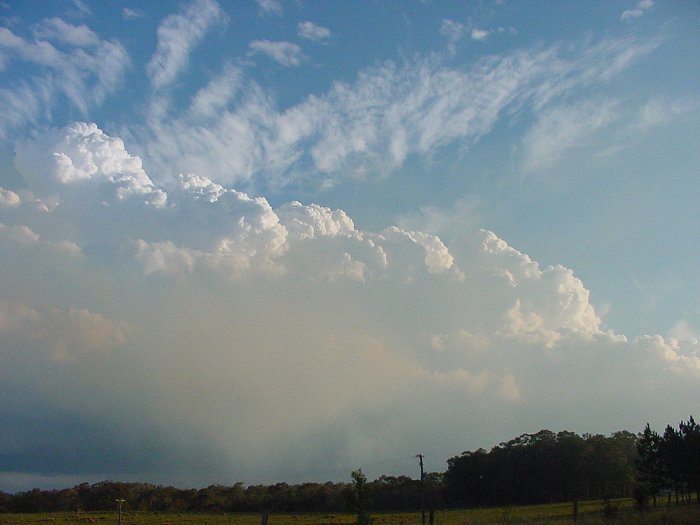 Photo  Jason Rainforest