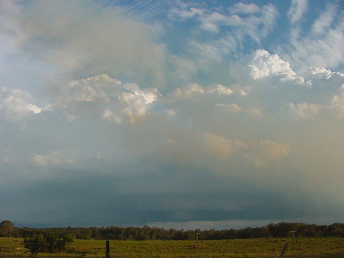 Taken by Jason Rainforest