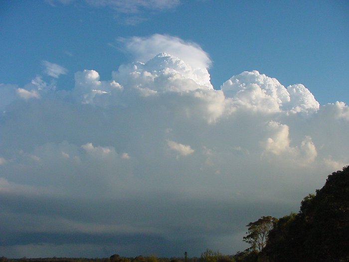 Taken by Jason Rainforest