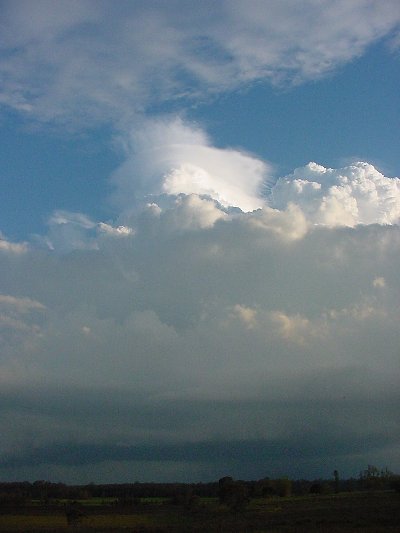 Taken by Jason Rainforest