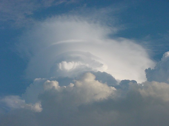 Taken by Jason Rainforest