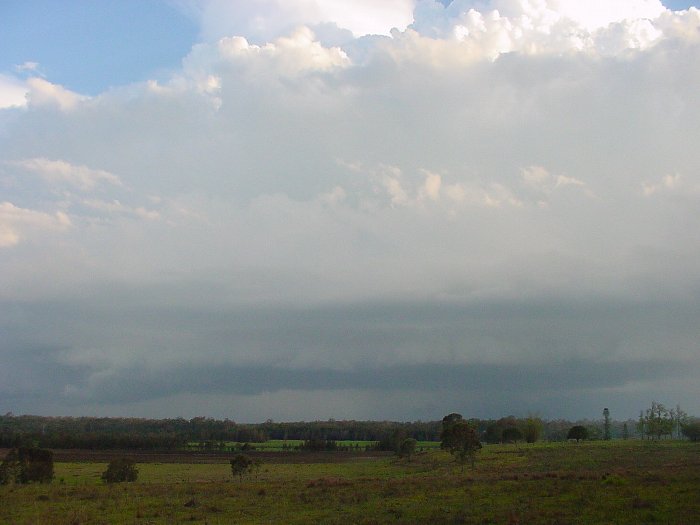 Taken by Jason Rainforest