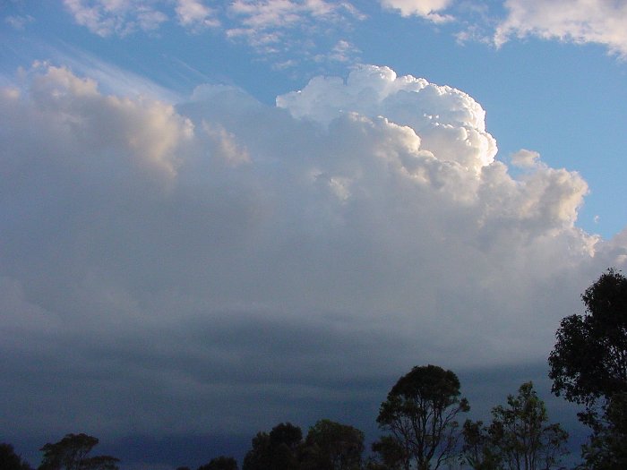 Taken by Jason Rainforest