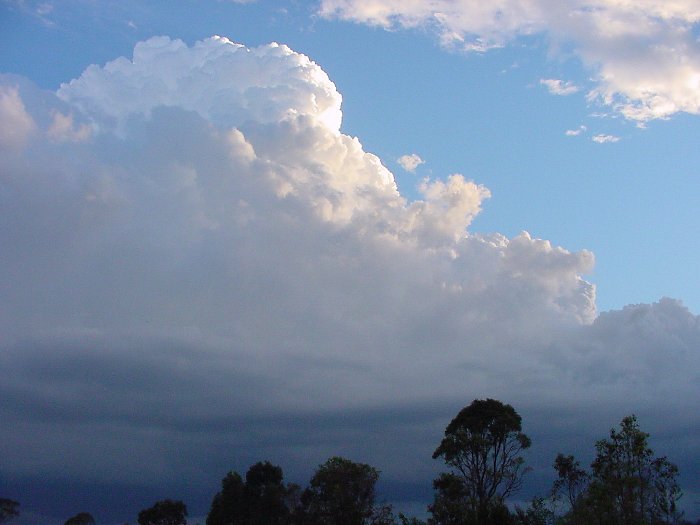 Photo  Jason Rainforest