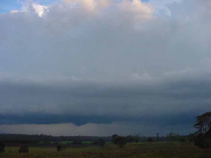 Taken by Jason Rainforest