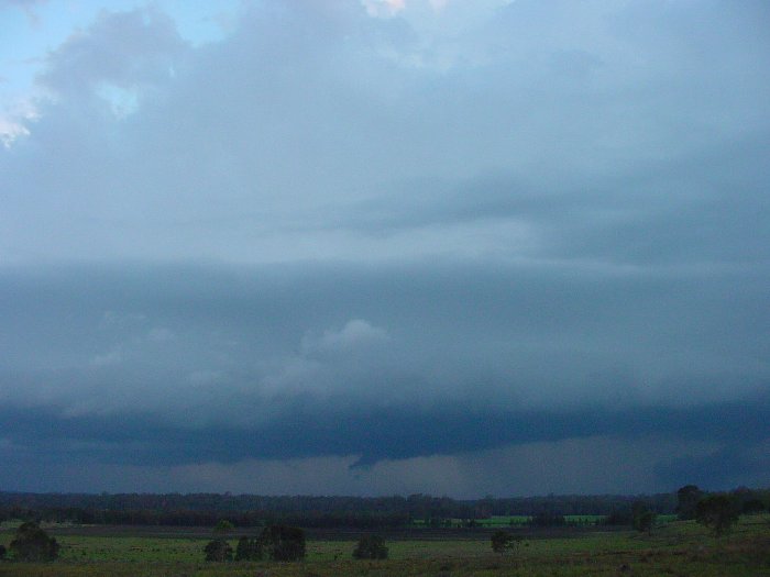 Taken by Jason Rainforest