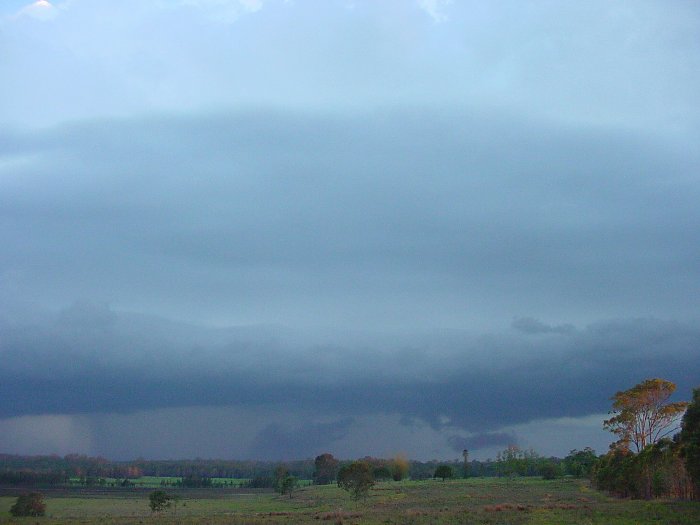 Taken by Jason Rainforest