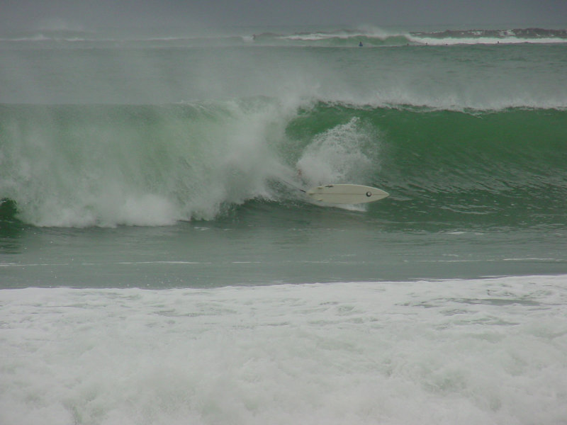 Photo  Jason Rainforest