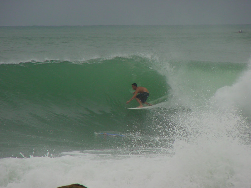 Photo  Jason Rainforest