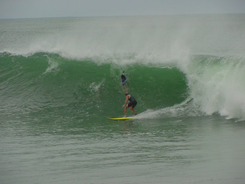 Photo  Jason Rainforest