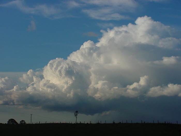 Taken by Jason Rainforest