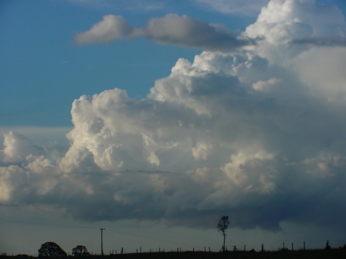 Taken by Jason Rainforest