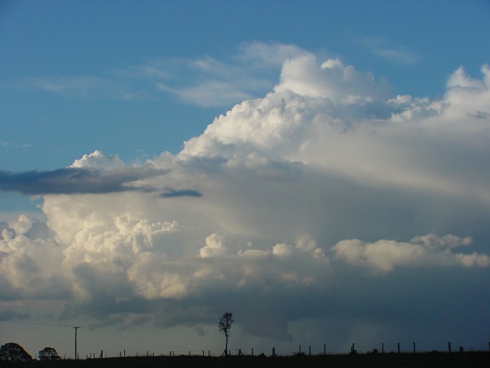 Photo  Jason Rainforest