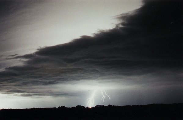 Photo  Jason Rainforest