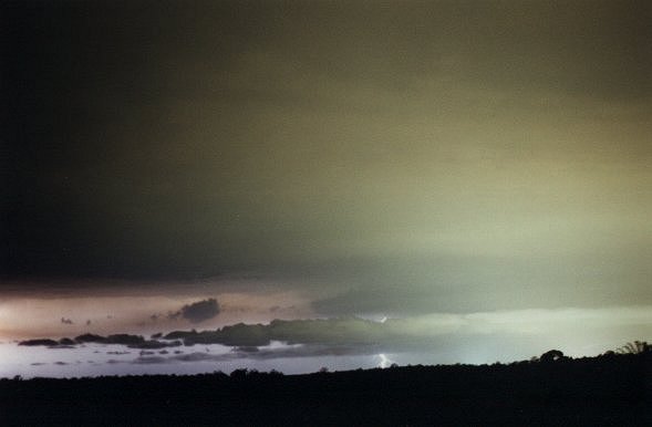 Photo  Jason Rainforest