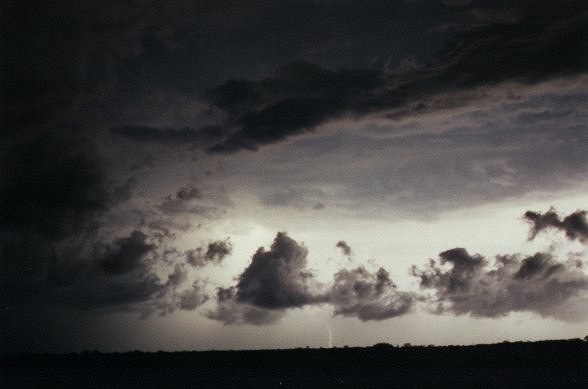 Taken by Jason Rainforest