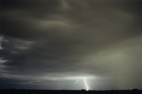 Photo  Jason Rainforest