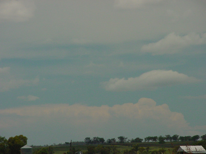 Taken by Jason Rainforest