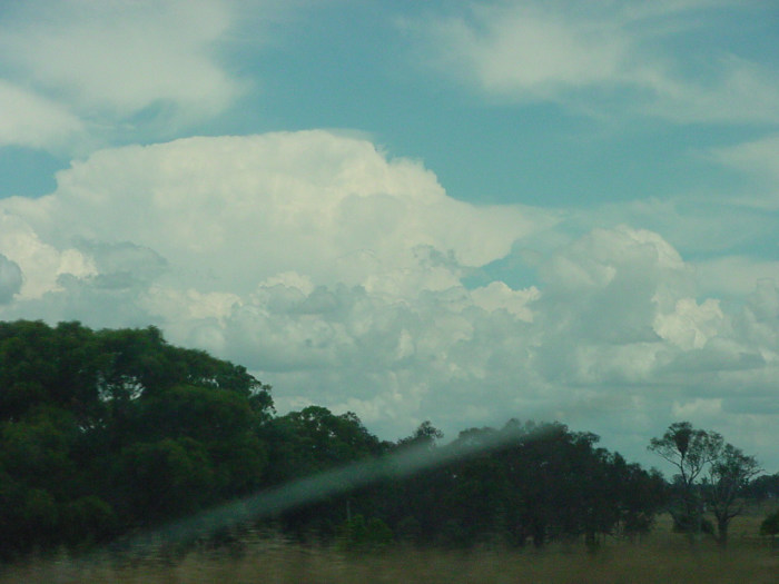 Taken by Jason Rainforest