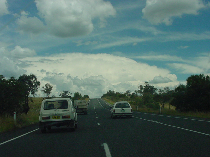 Taken by Jason Rainforest