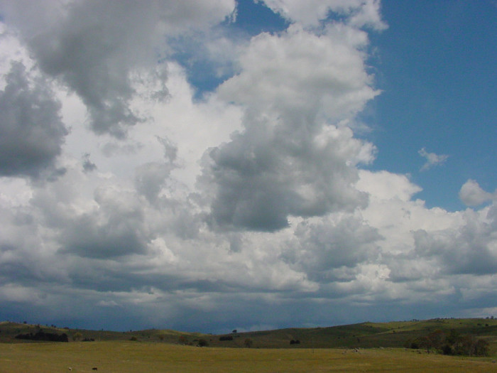 Taken by Jason Rainforest