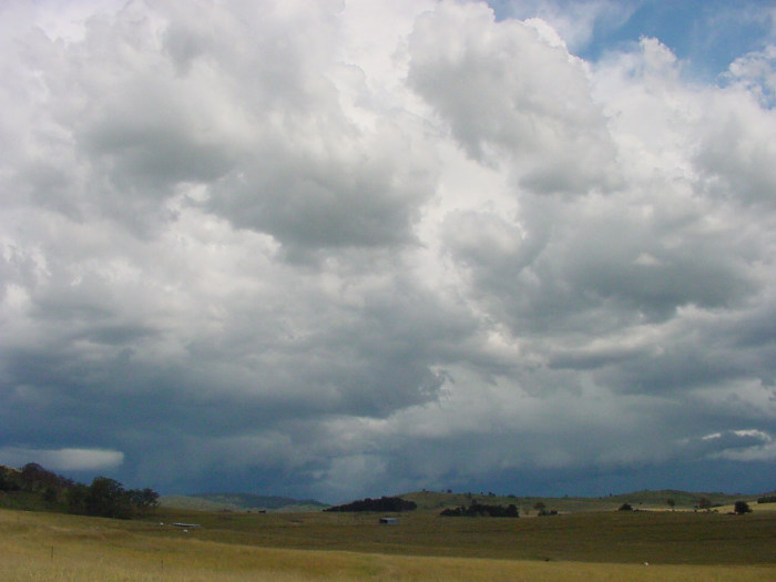 Taken by Jason Rainforest