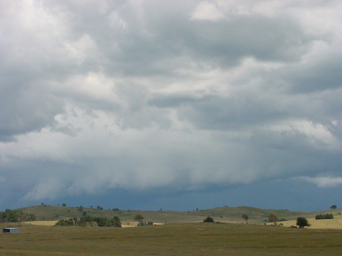 Taken by Jason Rainforest