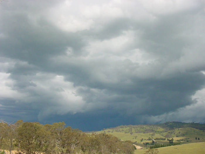 Taken by Jason Rainforest