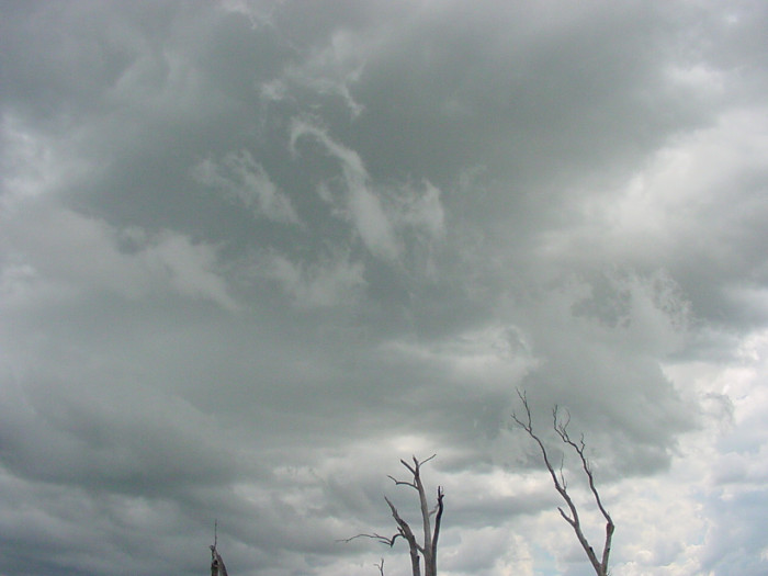 Taken by Jason Rainforest