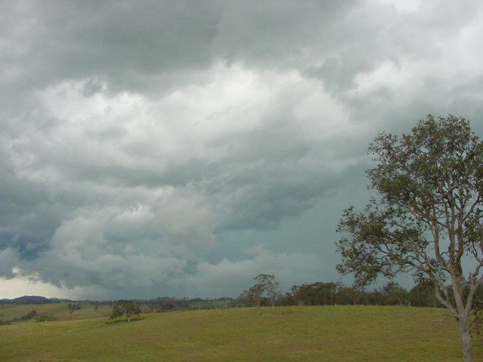 Taken by Jason Rainforest